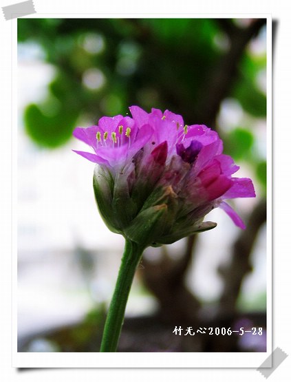 ��Щ�����ֿ��Ļ�...