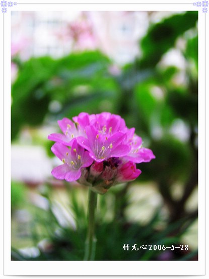 ��Щ�����ֿ��Ļ�...