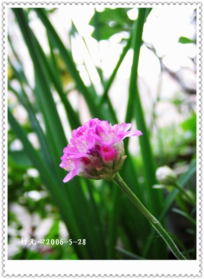 ��Щ�����ֿ��Ļ�...