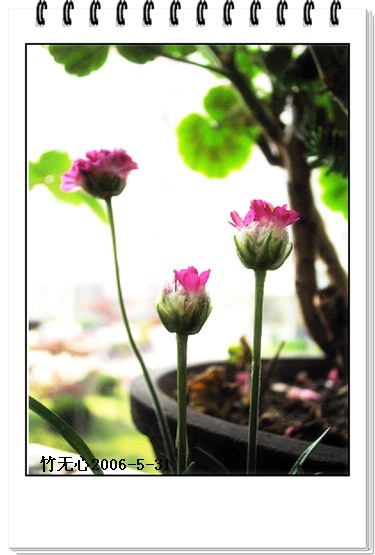 ��Щ�����ֿ��Ļ�...