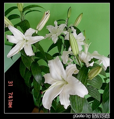 ż�Ұ٣��ף���Ҳ����~~