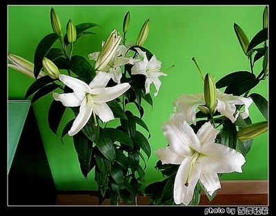 ż�Ұ٣��ף���Ҳ����~~