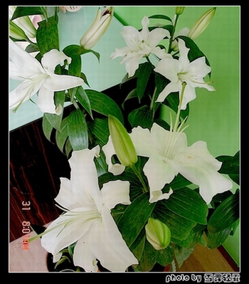 ż�Ұ٣��ף���Ҳ����~~