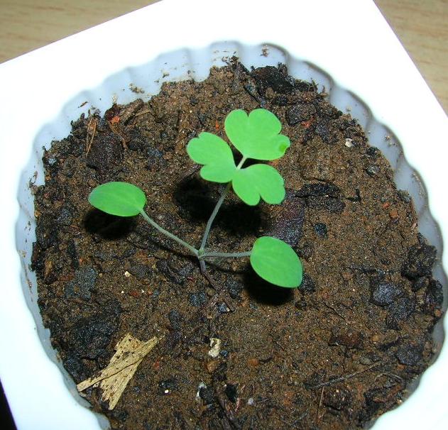 �����ﶷ��~~~