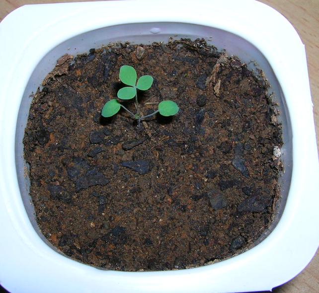 �����ﶷ��~~~