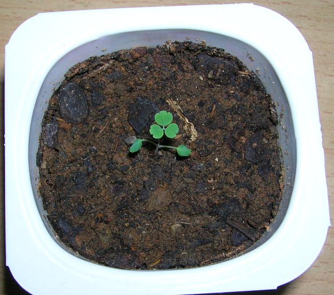 �����ﶷ��~~~