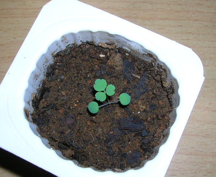 �����ﶷ��~~~