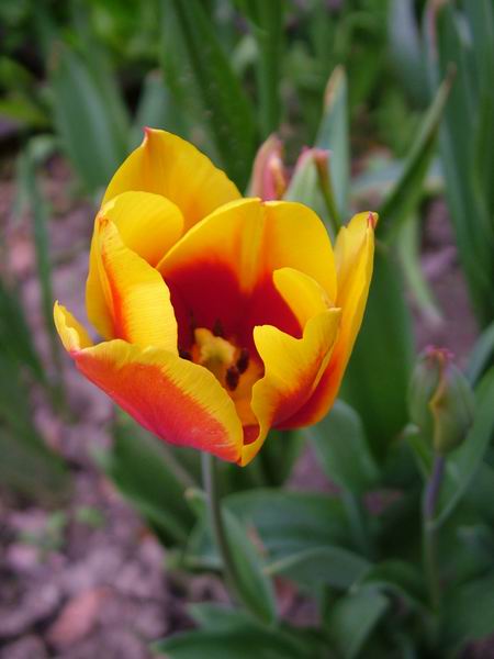 ż�Ļ���ż��Ժ��