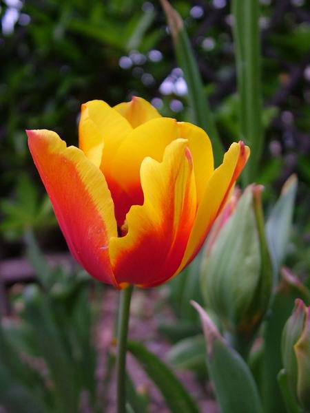 ż�Ļ���ż��Ժ��