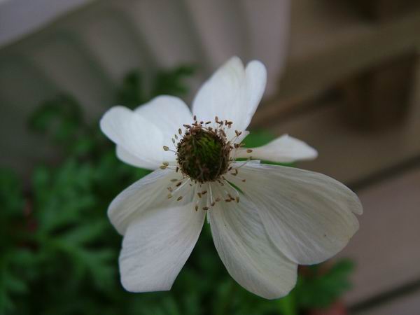 ż�Ļ���ż��Ժ��