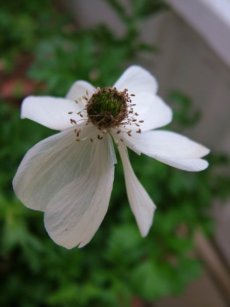 ż�Ļ���ż��Ժ��