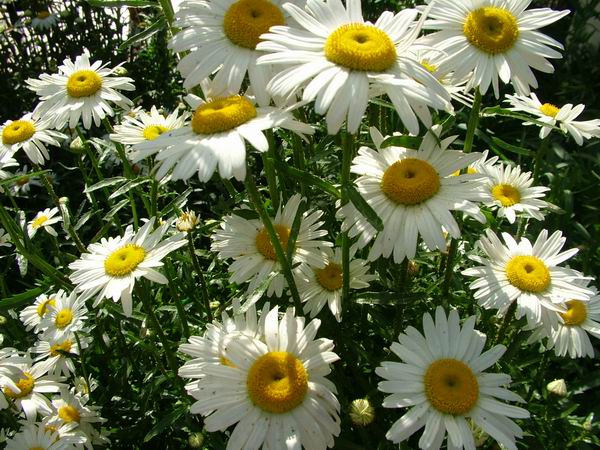 ż�Ļ���ż��Ժ��