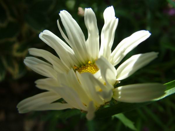 ż�Ļ���ż��Ժ��