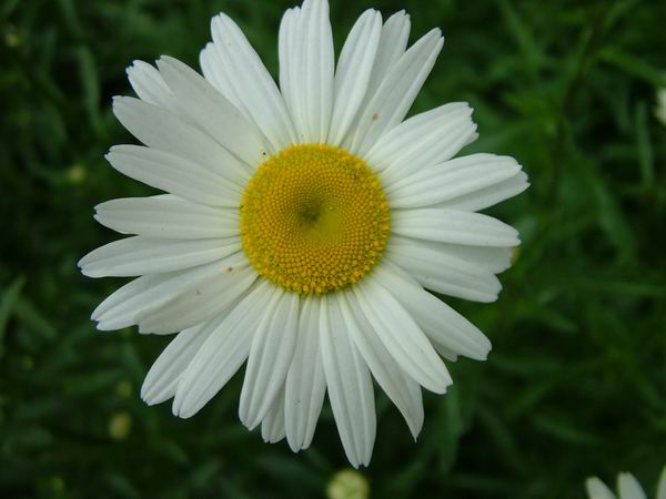 ż�Ļ���ż��Ժ��