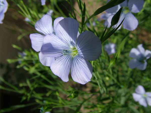 ż�Ļ���ż��Ժ��