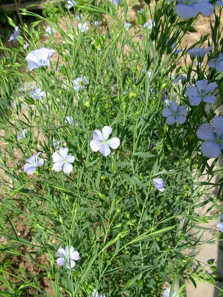 ż�Ļ���ż��Ժ��