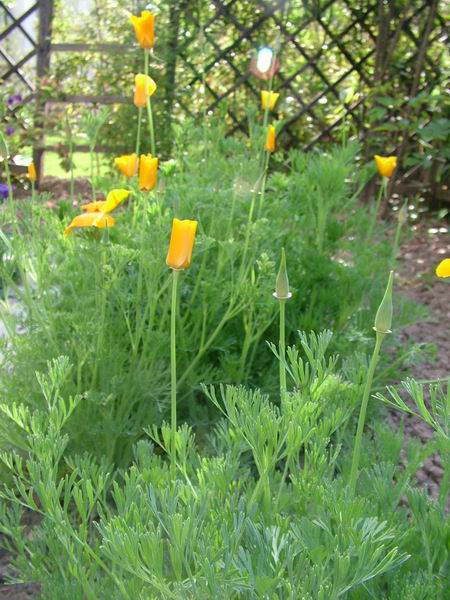 ż�Ļ���ż��Ժ��