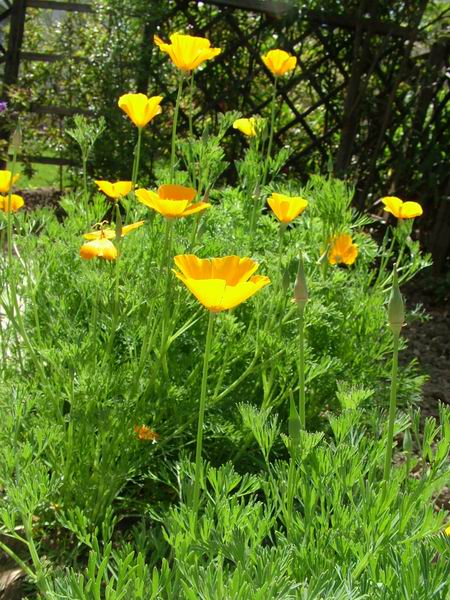 ż�Ļ���ż��Ժ��