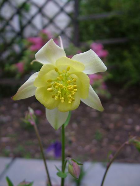 ż�Ļ���ż��Ժ��