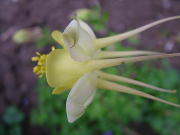 ż�Ļ���ż��Ժ��