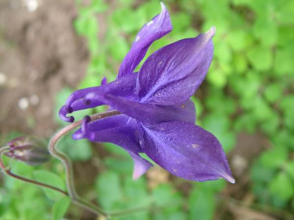 ż�Ļ���ż��Ժ��