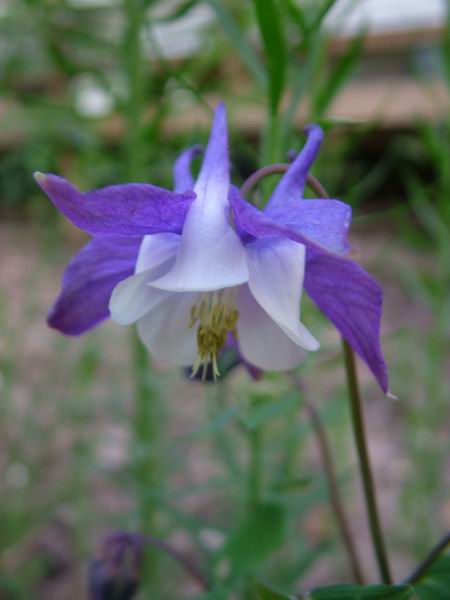 ż�Ļ���ż��Ժ��