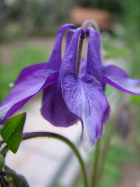 ż�Ļ���ż��Ժ��