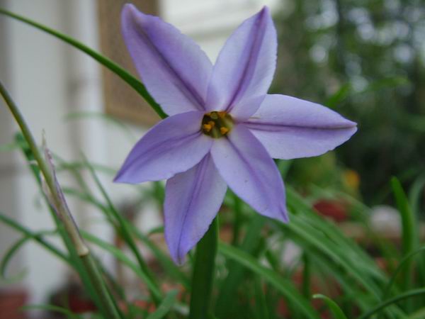 ż�Ļ���ż��Ժ��