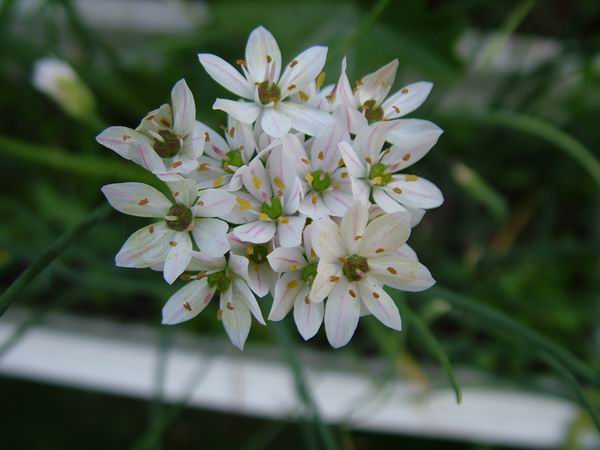 ż�Ļ���ż��Ժ��