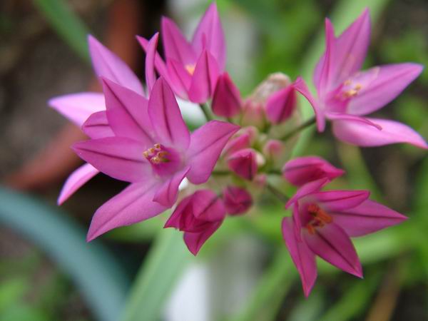 ż�Ļ���ż��Ժ��