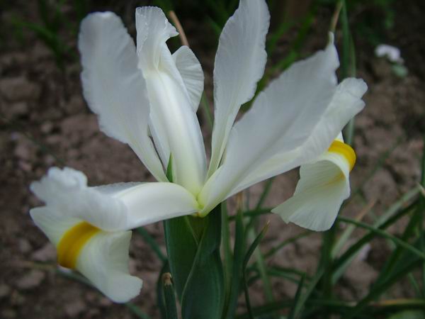 ż�Ļ���ż��Ժ��