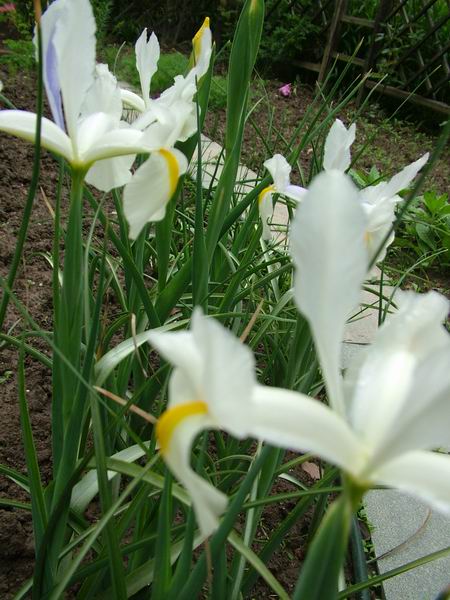 ż�Ļ���ż��Ժ��