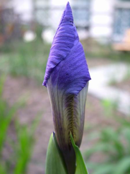 ż�Ļ���ż��Ժ��