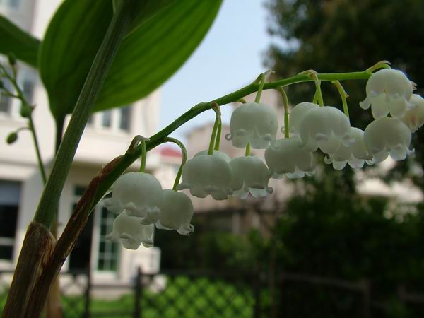 ż�Ļ���ż��Ժ��