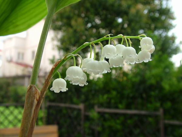 ż�Ļ���ż��Ժ��