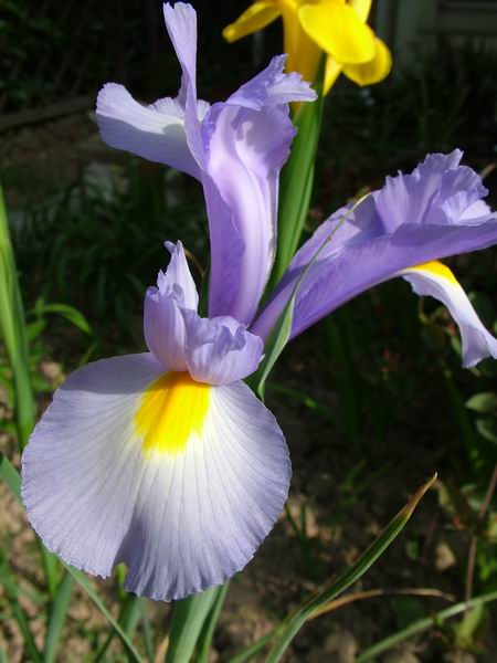 ż�Ļ���ż��Ժ��