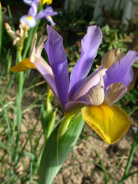 ż�Ļ���ż��Ժ��