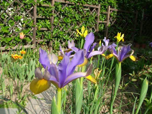 ż�Ļ���ż��Ժ��