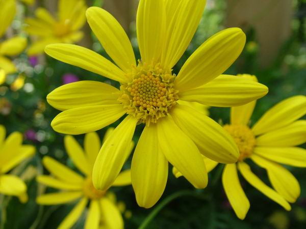 ż�Ļ���ż��Ժ��