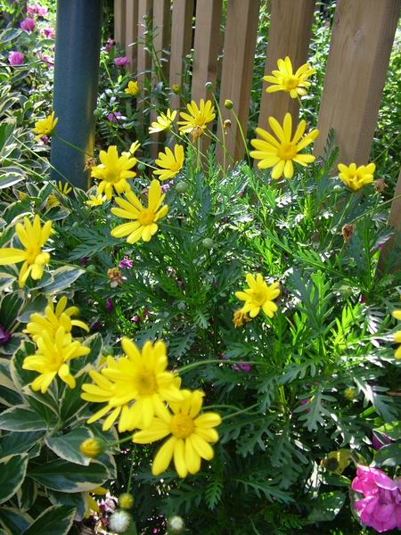 ż�Ļ���ż��Ժ��