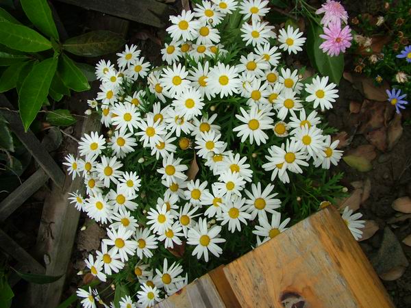 ż�Ļ���ż��Ժ��