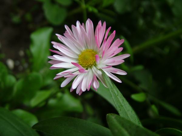 ż�Ļ���ż��Ժ��