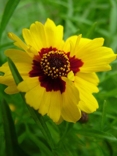 ż�Ļ���ż��Ժ��