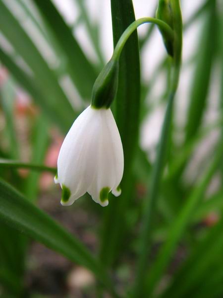 ż�Ļ���ż��Ժ��