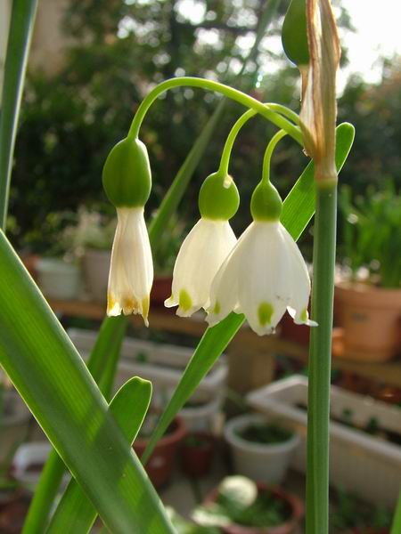 ż�Ļ���ż��Ժ��