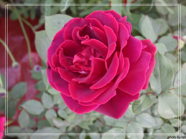 ���������¼�