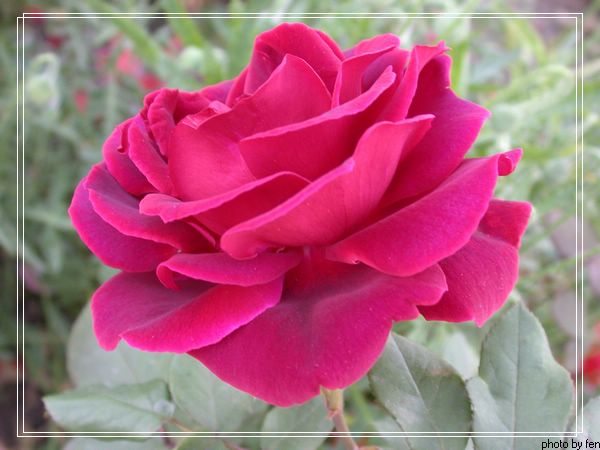 ���������¼�