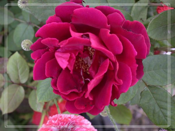 ���������¼�