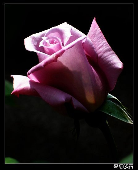 Ҳ��һ��~