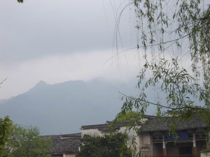 ���ݵ���������